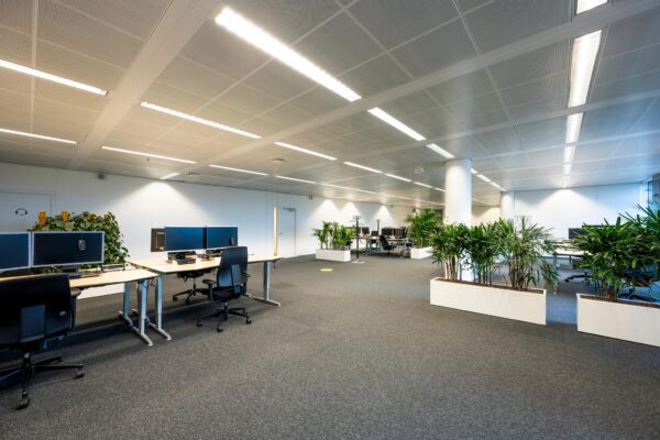 Moderne en ruime kantoortuin aan de Burgemeester Rijnderslaan met werkplekken, planten en een strakke inrichting.